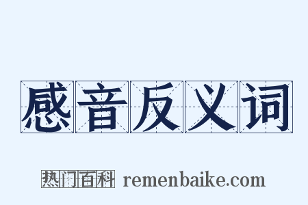 感音反义词是什么意思的图片